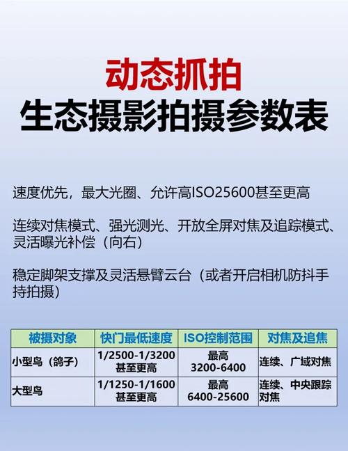 华为晴天户外拍照参数设置_测光ISO快门光圈等设置建议
