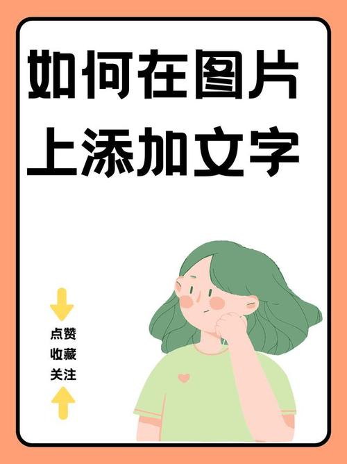 美图秀秀版本更新添加文字在哪里_美图秀秀文字功能，输入样式贴纸全搞定！