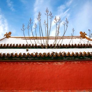 故宫红墙怎么拍照好看_故宫红墙好人像照