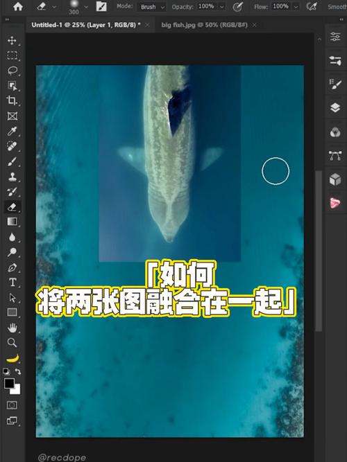 美颜相机怎么把两张图p在一起_美颜滤镜拼图，创意照片制作分享