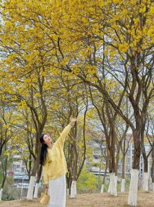 公园拍摄人像相机参数_光线参数与构图