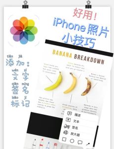 如何拍照转换成文字_微信拍照识别，WPS文字提取方便高效