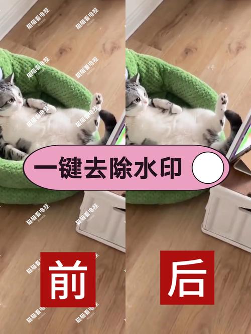 小米拍照时有水印后期怎么去掉水印_小米水印巧去除，拍照更纯净！