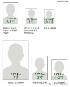 摄影展照片一般尺寸_摄影展照片尺寸怎么选？场地规模主题决定