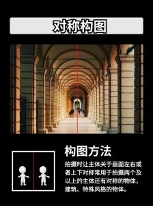 对摄影构图的理解_安排画面，突出主题