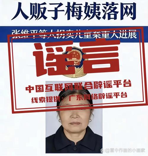 梅姨真实照片对比_梅姨证件照曝光,与模拟画像差异大! 梅姨真实照片对比_梅姨证件照曝光,与模拟画像差异大!