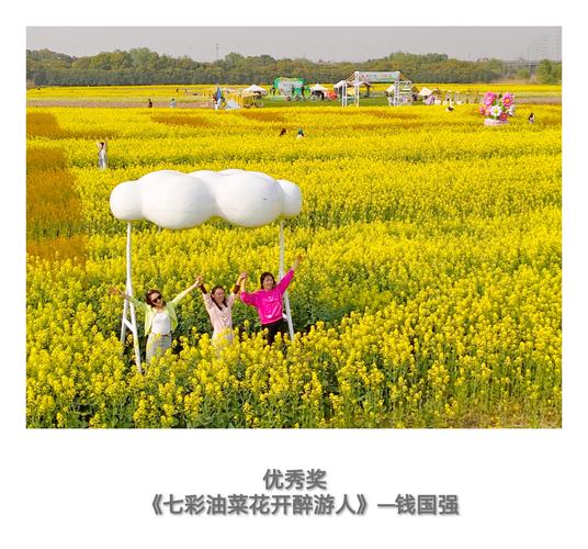 摄影拍照最高奖项_技艺贡献双认可