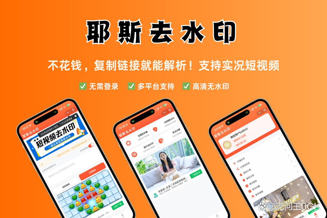 去水印模糊怎么补救_去水印图片变模糊？AI修复还原图！