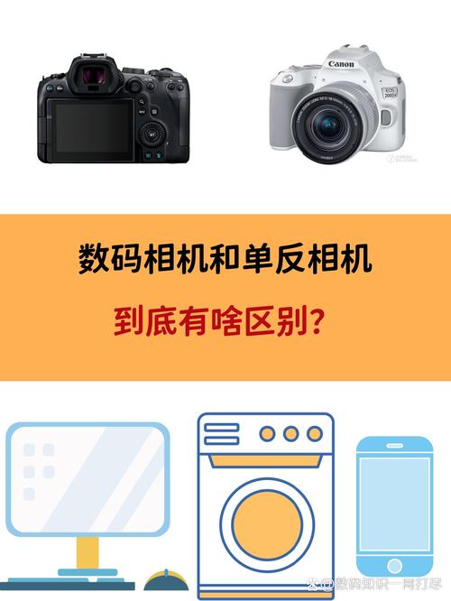 摄影和照相的区别_捕捉平凡中的艺术之美