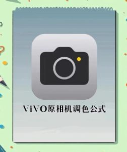 vivo相机怎么设置拍照效果好_vivo相机新手易上手，构图对焦有技巧