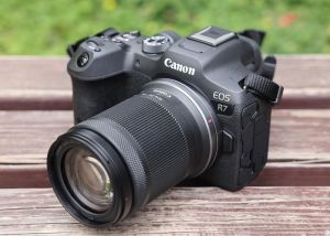可以摄影的相机_佳能R100富士X-T200等热门型号