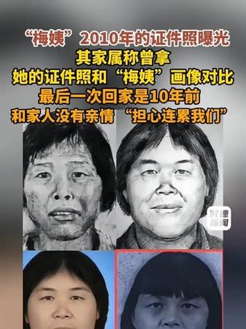 梅姨真实照片对比_梅姨证件照曝光,与模拟画像差异大! 梅姨真实照片对比_梅姨证件照曝光,与模拟画像差异大!