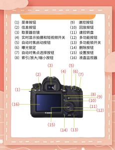 单反拍照口诀_美化照片，突出主体，记录美好