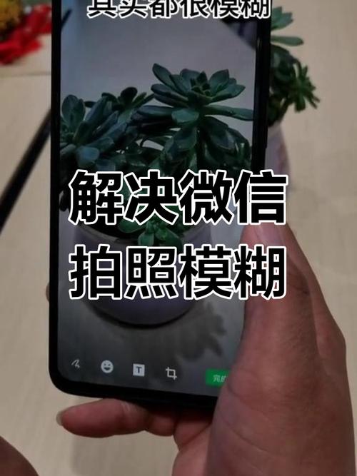 微信拍的照片怎模糊_微信拍照模糊？换个相机选原图就清晰！