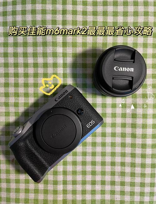 佳能m6mark2室内拍摄参数_室内拍摄利器，视频对焦自拍好帮手