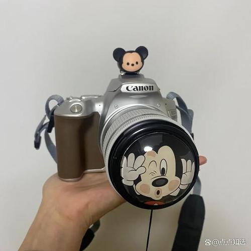 只是拍照选什么相机_人像相机怎么选？看习惯需求选对款！