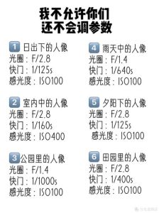 照片属性有哪些参数_图像分辨率与调整技巧