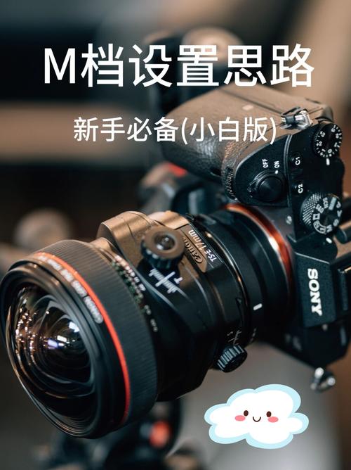 如何设置相机拍照_ISO100，选对模式，轻松拍好！