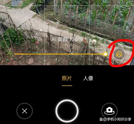 微信拍照在哪里打开_vivo微信长按加号用原相机，照片更清晰！