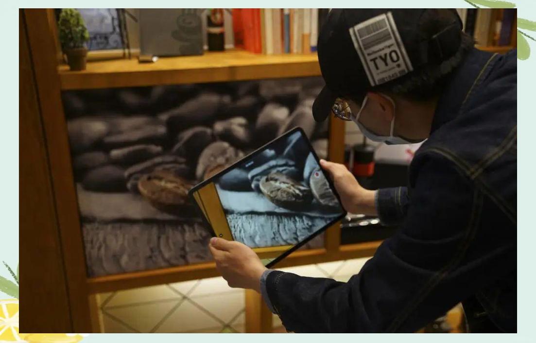 ipadpro拍照_iPad自拍背景虚化，人像更突出