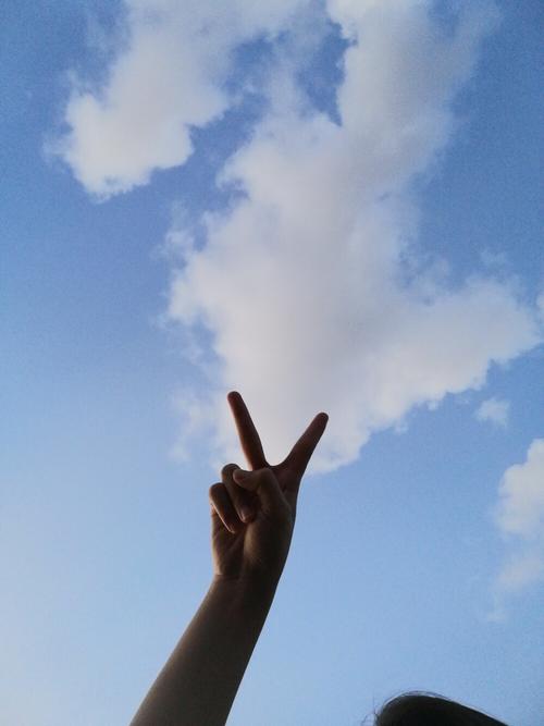 对着天空比什么手势拍照好看_浪漫手势拍照，情侣闺蜜甜蜜瞬间 (23字)