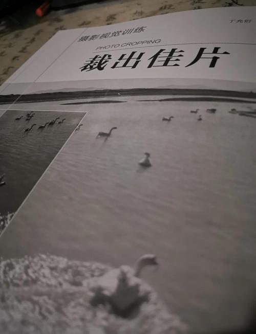 摄影构图书籍_提升摄影构图色彩技巧书