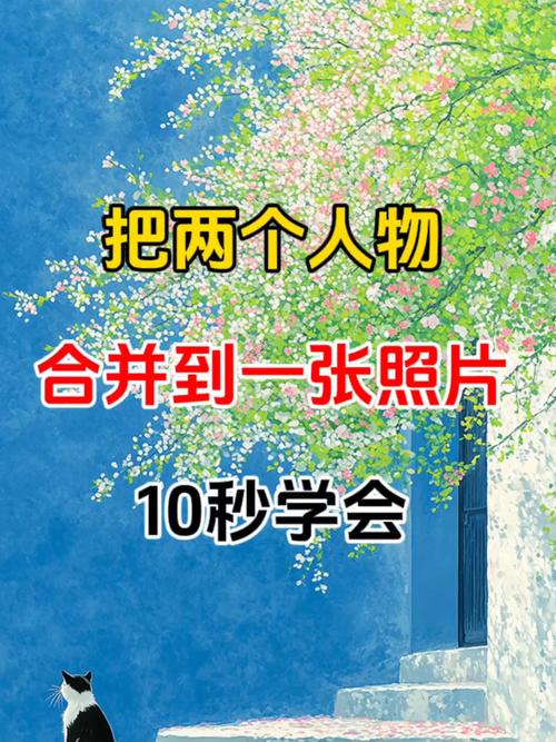 好几张照片拼成一张图_多图拼接顺序要合理，预览检查防失真