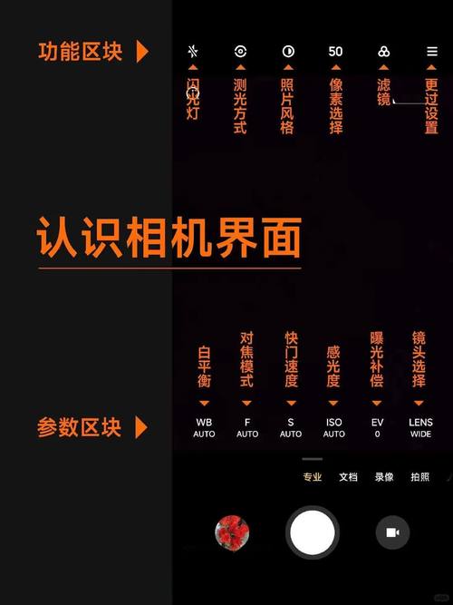 拍照专业模式怎么调_玩转拍照，参数全解析