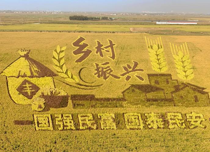 稻田画观光可以拍照么_稻田画拍照体验，感受农耕艺术魅力