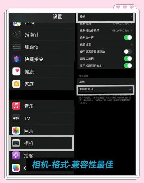 苹果拍照最佳参数设置_创意控制+网格线，拍出艺术感照片