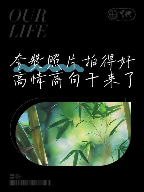 赞扬摄影师拍照片拍的好_捕捉诗意瞬间，光影讲述故事