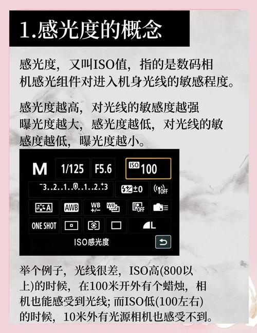室外强光拍照片参数_夏日拍照避顶光，选早晚柔光好！