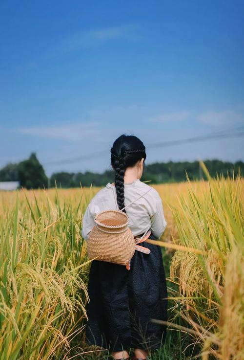 稻田里怎么拍照好看_浅色衣+道具，清晨傍晚光线好