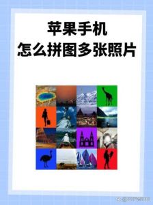 怎么把多张照片拼图_选好照片巧用工具，注意格式尺寸