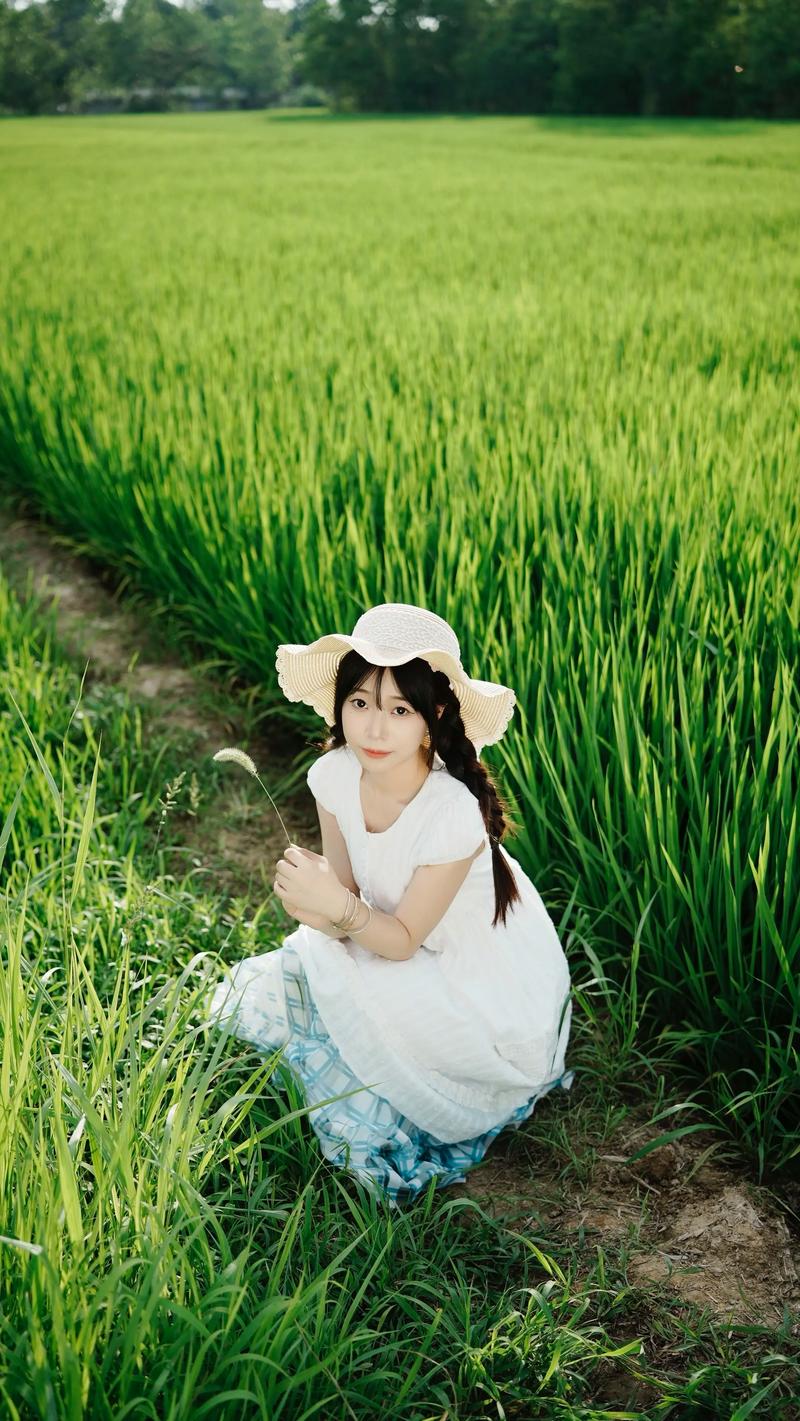 稻田里怎么拍照好看_浅色衣+道具，清晨傍晚光线好