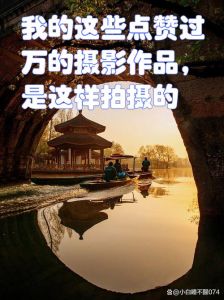 赞扬摄影师拍照片拍的好_捕捉诗意瞬间，光影讲述故事