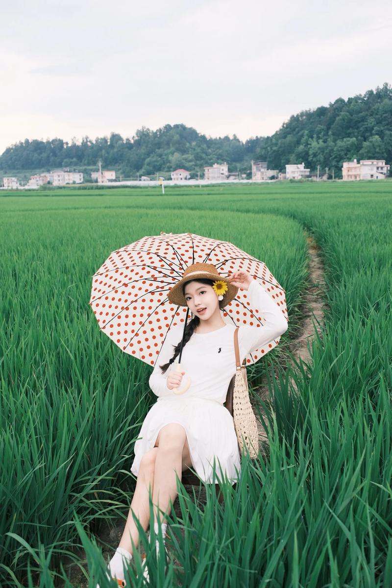 去稻田怎么拍照好看_秋日稻田晨光拍照，捕捉自然美