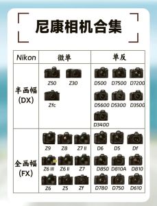 相机好看的参数_相机调参数，照片更出彩