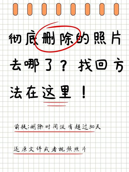 给我恢复一下我删过的照片_照片误删别慌，Ctrl+Z或软件恢复，做好三重备份！