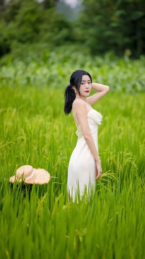 去稻田怎么拍照好看_秋日稻田晨光拍照，捕捉自然美