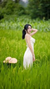 去稻田怎么拍照好看_秋日稻田晨光拍照，捕捉自然美
