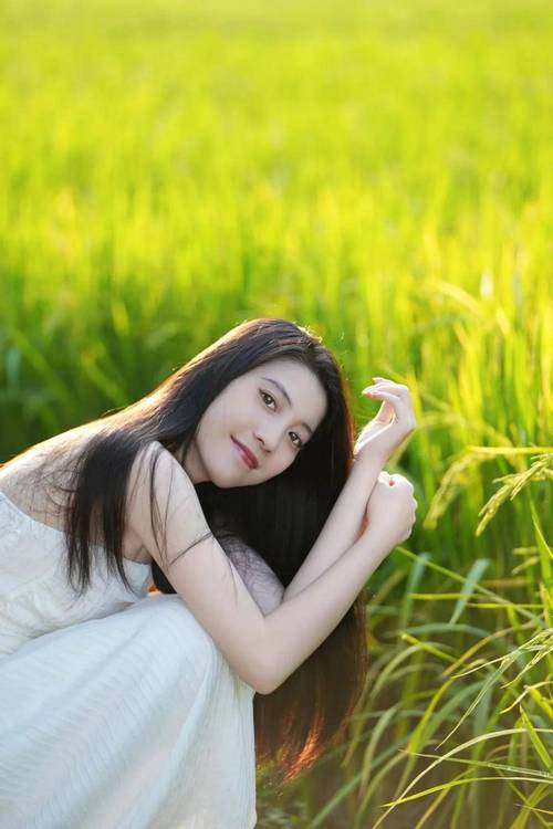 稻田怎么拍照_低机位广角长焦技巧
