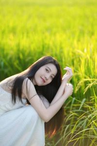稻田怎么拍照_低机位广角长焦技巧