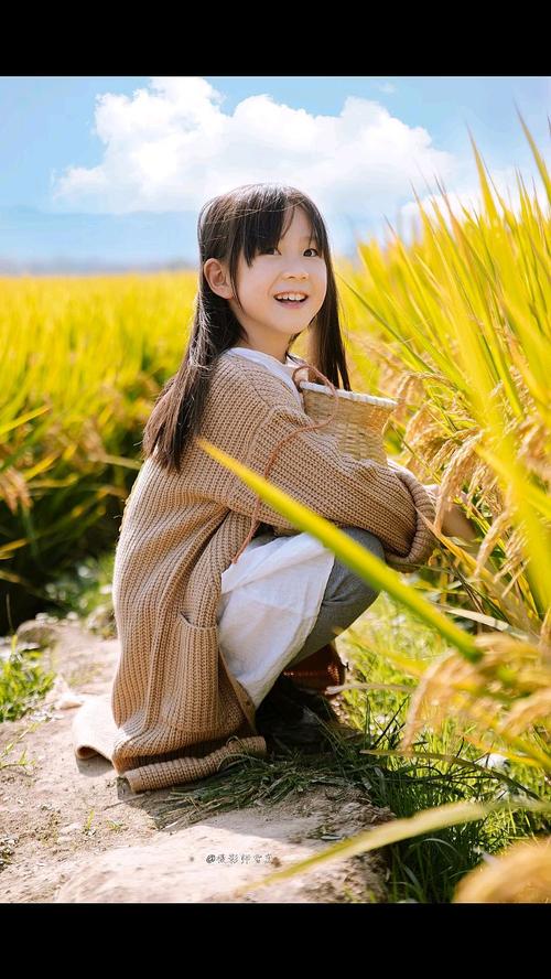 稻田怎么拍照_低机位广角长焦技巧