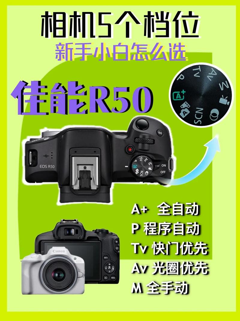 佳能r50怎么设置照片格式_佳能R50照片格式调整及设置技巧 佳能r50怎么设置照片格式_佳能R50照片格式调整及设置技巧