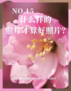 怎么判断一张照片的好坏_好照片靠构图曝光色彩，主题情感打动人！