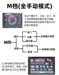 m档拍照参数_掌控光圈快门感光度
