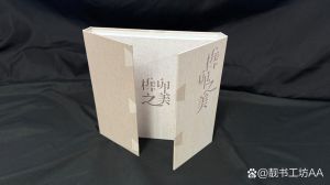 摄影类的书籍装帧_摄影构图技巧与艺术装帧之美