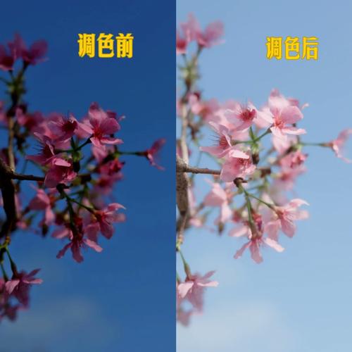 把照片修一下颜色对比度更好_调对比度，增层次，出大片