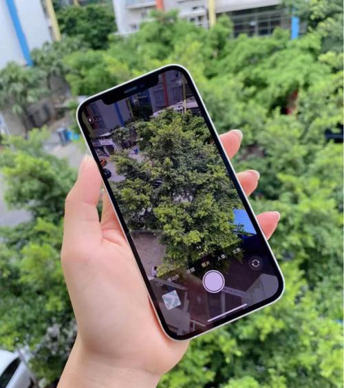 苹果12照相打开模糊_iPhone 12拍照模糊？镜头脏了擦擦看！
